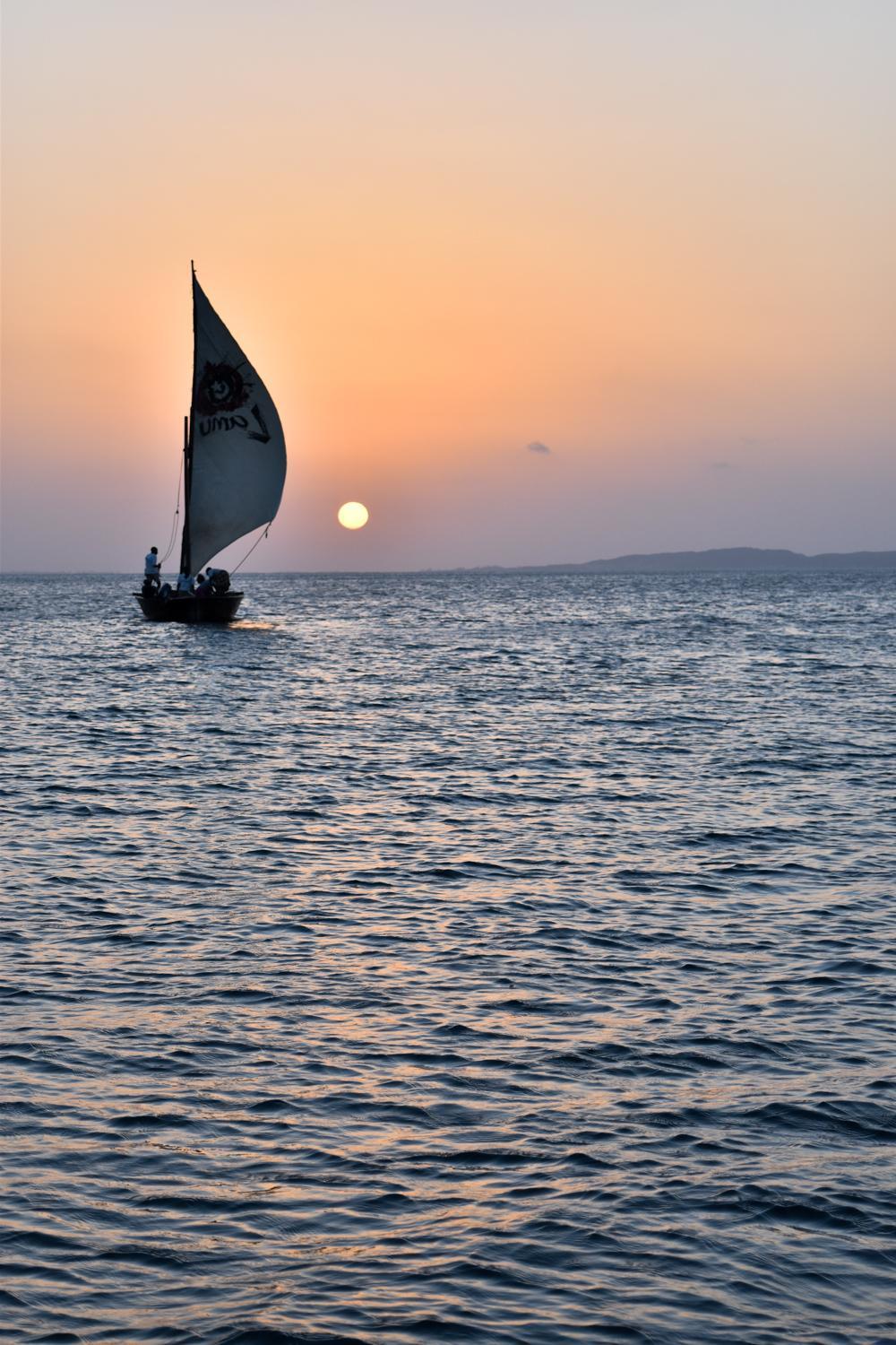 Hotel Amu House à Lamu Extérieur photo